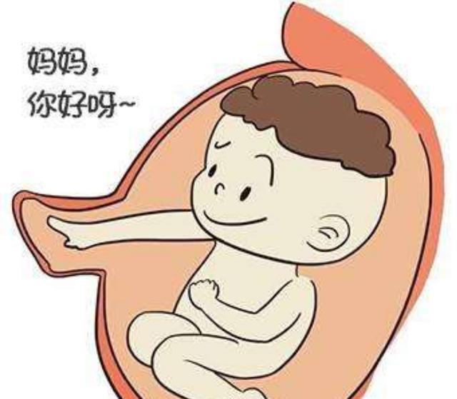 胎宝宝胎动代表的意思