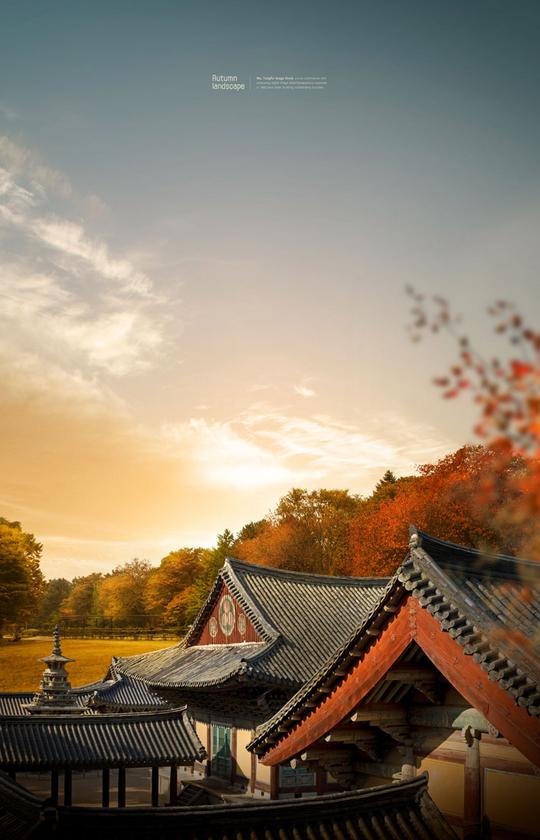 夕阳中的古楼风景封面
