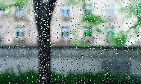 雨朦胧_图片大全—全景创意图库（quanjing.com）中国领先的正版图片视频素材网站
