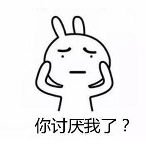 表情你讨厌我了表情