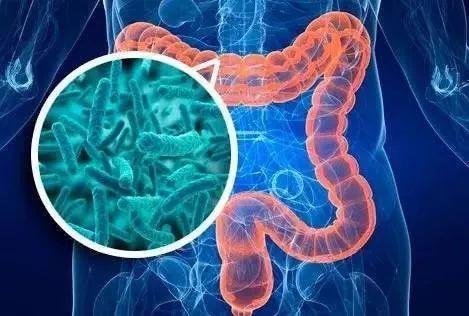 新生儿肠道菌群失调有哪些表现