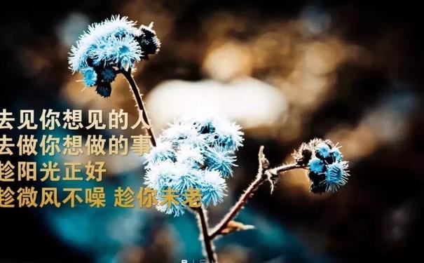 心情压抑短句子,心烦心累压抑的心情语录？-语录网