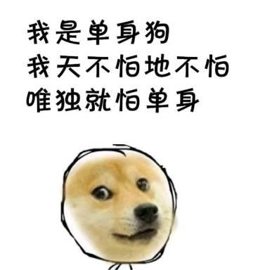 单身狗日常撸表情搞笑图