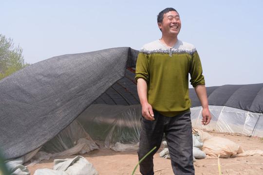 农村有种行业正在兴起，近几年也比较赚钱，种植户为啥有了担忧