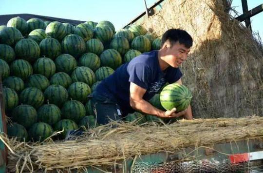 在农村,不打工,不种地,这4种生意也不错,一年赚7,8万