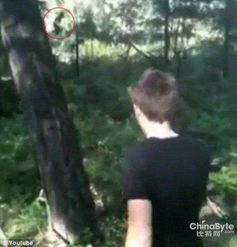 大脚野人是什么意思饭圈