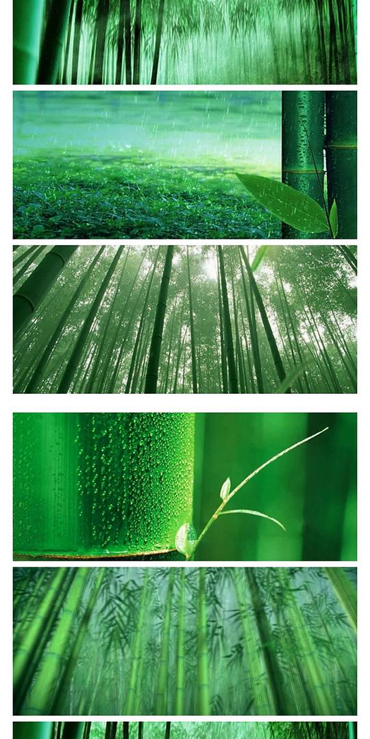 春天万物生长春雨滋润视频素材