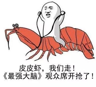 我家小公举是什么意思