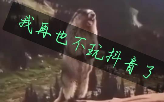 抖音高清歌曲魔改版，我疯了，再也抖音不上瘾了