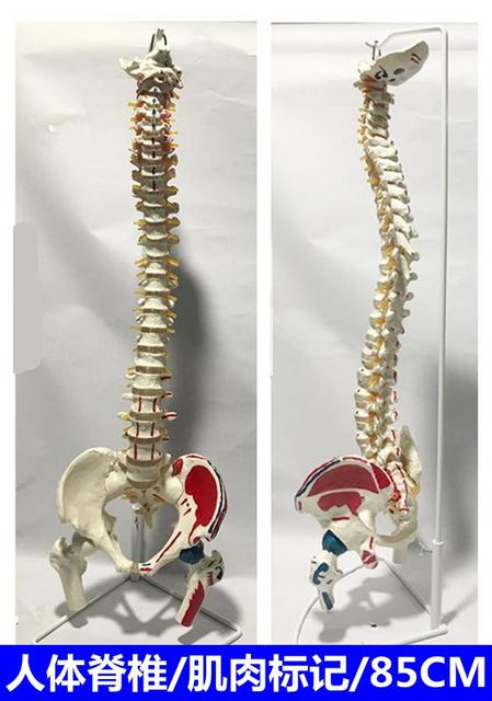 孕期可以推拿颈椎吗