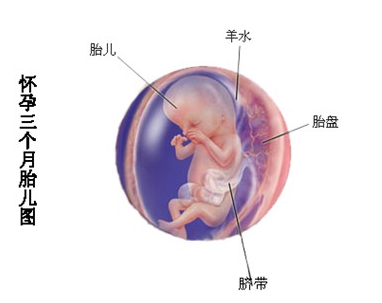 孕早期卫生习惯的注意事项有哪些