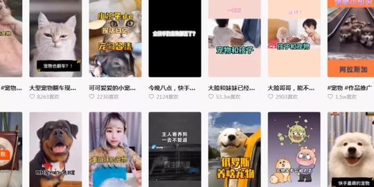 冷门蓝海赚钱项目，新手零基础创业术