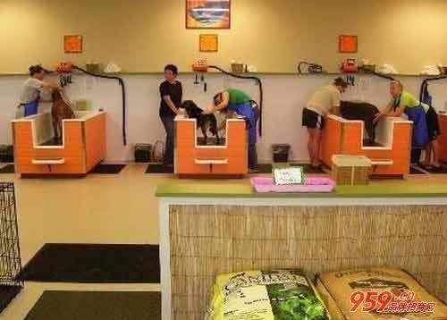 小本投资创业做什么?投资一家小型宠物加盟店赚钱吗?