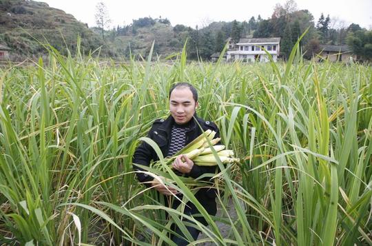 万载供电扶助特色产业带领农民创业增收