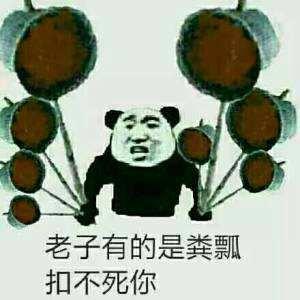 老子有的是粪瓢扣不死你张学友熊猫斗图表情包搞笑图片