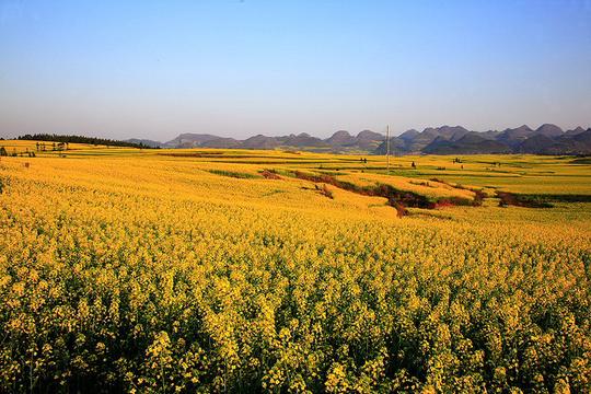 【罗平风光摄影图片】云南省罗平县风光旅游摄