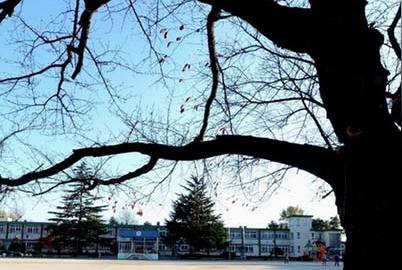 南充兴光技工学校