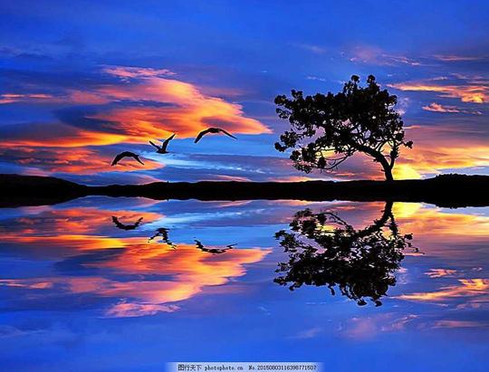 傍晚天空下的树夕阳落日彩霞倒影自然景观图片素材蓝色