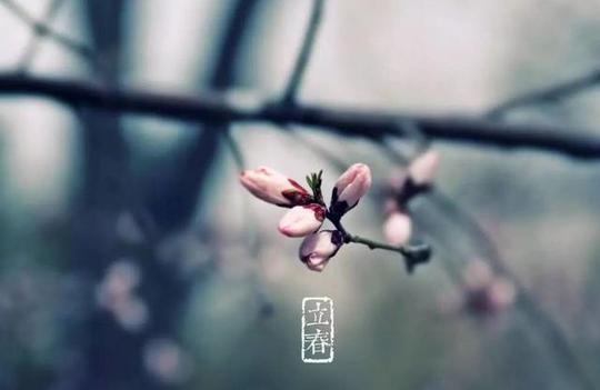「诗词鉴赏」大寒时节欣赏诗词里的最美二十四节气!