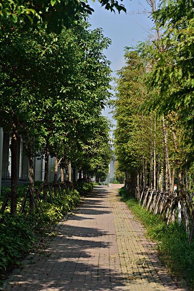 无人的街道_图片大全—全景创意图库（quanjing.com）中国领先的正版图片视频素材网站