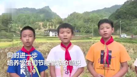 开学才知道网课好我太难了