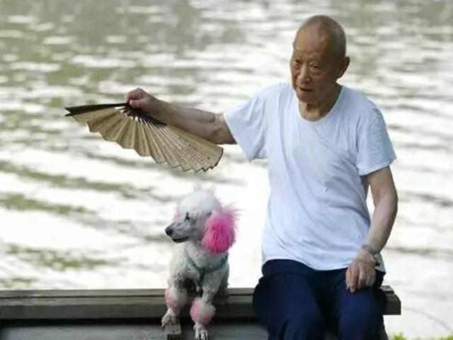 三伏天怎么有40天