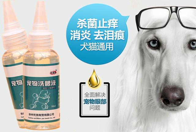 猫咪角膜炎和结膜炎有什么区别