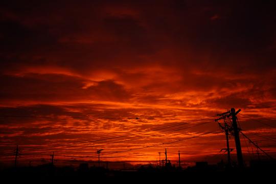 红日下完雨刚好是夕阳的时候,从家里望出去就被红色的天空惊艳到了.