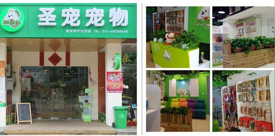 圣宠宠物学员创业开宠物店