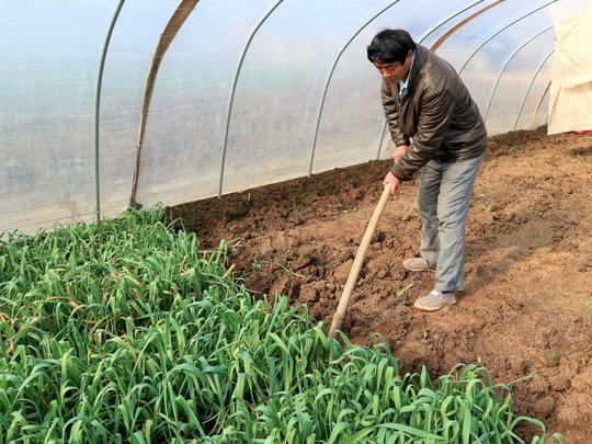 农村人种植一种特色蔬菜,亩收入4000元,为什么还说不赚钱?