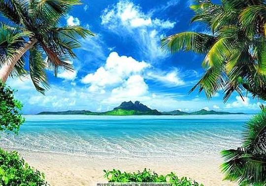 风景摄影图片素材夏天夏日海边夏威夷海滩景色自然美景