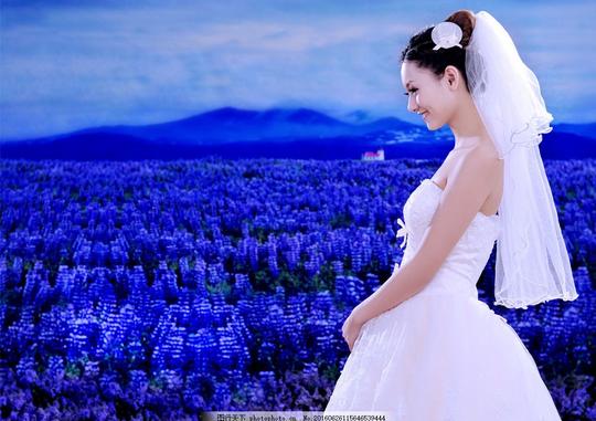 时尚婚纱摄影时尚婚纱摄影图片素材时尚女性时尚美女模特性感美女
