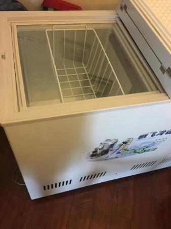 95层新新飞大牌家用冰柜转让