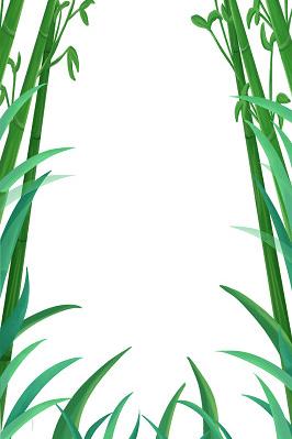 端午节竹子竹叶素材