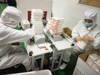 女大学生贾睿回乡创业加工生姜热销网络价倍增