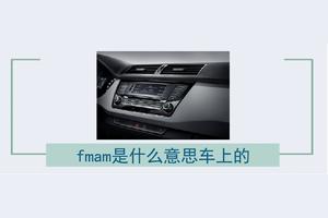 Fm Radio Car Kit是什么意思 用在车上的收音机 友邦知识网