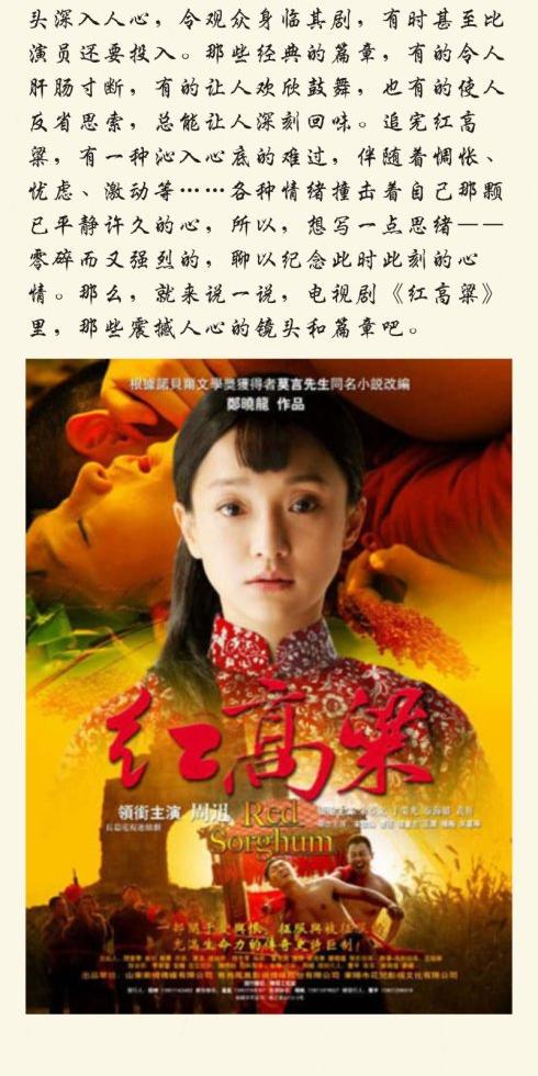 《红高粱电视剧》