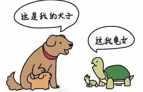 揭秘90后小伙利用这个项目,实现百万财富梦