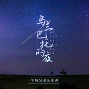 乌兰巴托的夜(半吨兄弟/张茜)