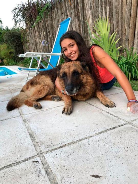 阿根廷少女与德牧开心合影，突然被狗疯狂咬脸，缝合40针美貌尽毁