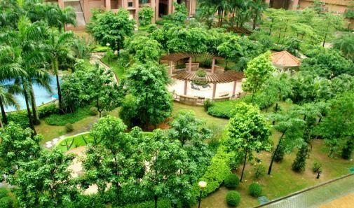 推荐:明年10个与众不同偏门的农村种植致富好项目
