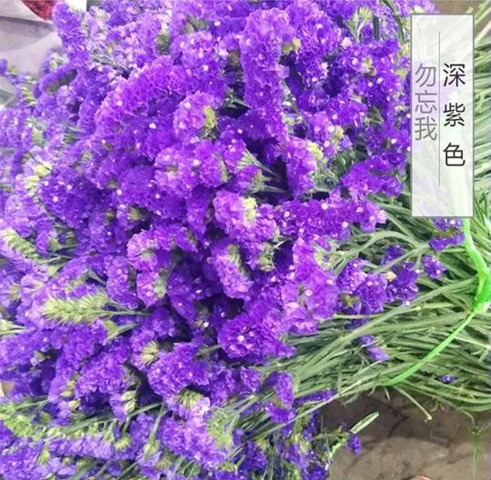 云南鲜花勿忘我满天星水晶草批发地摊十元模式情人节鲜花批发