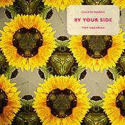 By Your Side(Calvin Harris/Tom Grennan)