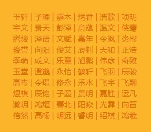 给狗宝宝怎么起名(养泰迪和比熊犬哪个好)