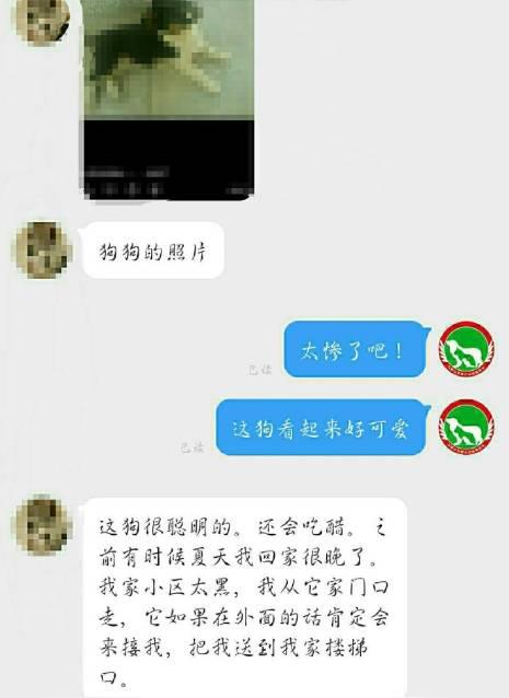 马鞍山惊现毒狗事件!就发生在身边,秋冬狗肉生意火爆