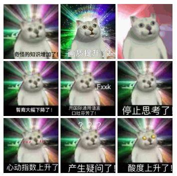  神经病猫搞笑QQ幽默表情包