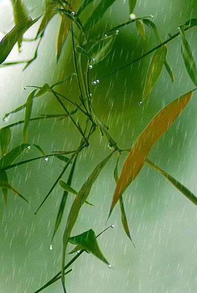 春夜喜雨