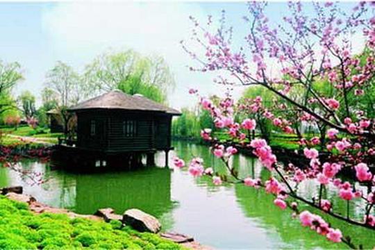 花开花落轻似梦,谱一曲红尘恋歌,与樱花相约定,与红豆醉相思.……….