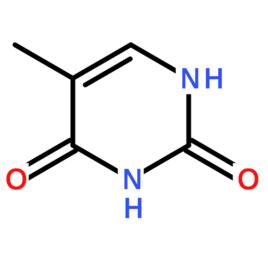 紫外线照射可使dna分子中同一条链两相邻的胸腺嘧啶碱基之间形成二聚