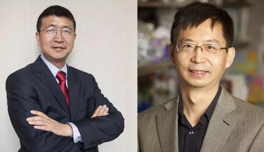 新知达人,“鹍远”的技术执着与市场执念|多肽链对话鹍远基因ceo张江立